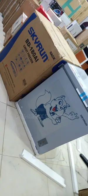 The SKYRUN 145L (180AI) Inverter Chest Freezer That Works