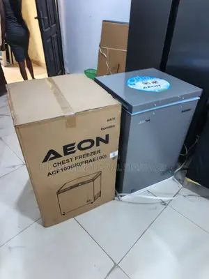 AEON 100L Freezer ACF100GK Compact Household Storage Solution