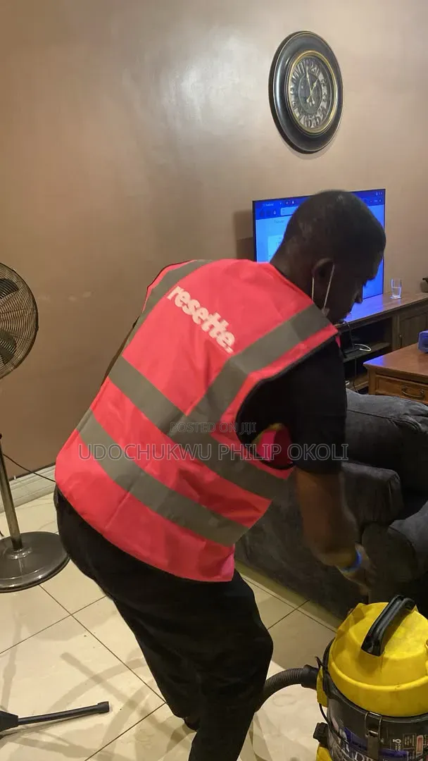 Professional Sofa Cleaning