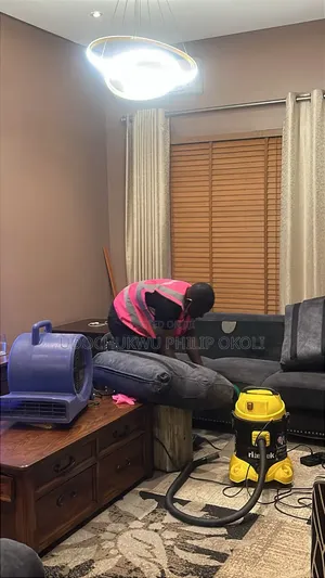 Professional Sofa Cleaning