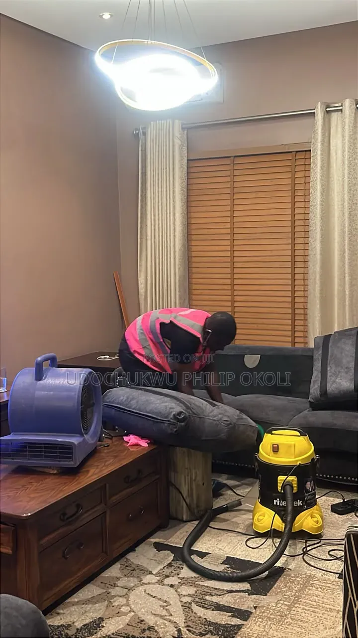 Professional Sofa Cleaning