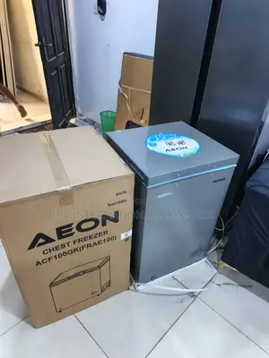 AEON 100L ACF100GK Freezer Home Food Organization Appliance