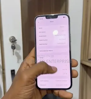 Apple iPhone 13 Pro Max 1 TB Gray