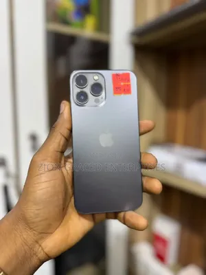 Apple iPhone 13 Pro Max 1 TB Gray