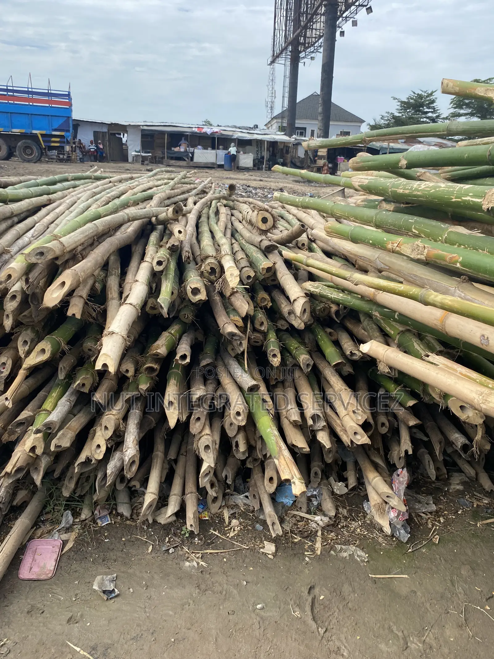 Scalable Lengthy Thick Bamboos