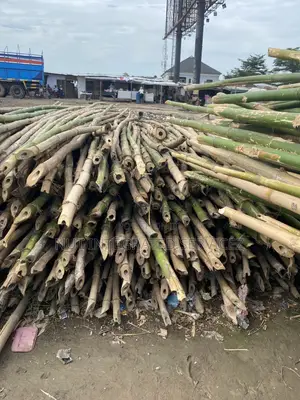 Scalable Lengthy Thick Bamboos