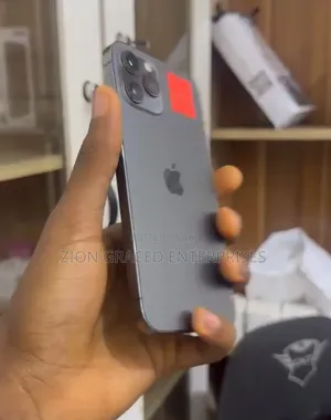 Apple iPhone 12 Pro Max 128 GB Gray