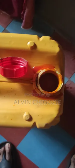 Palm Oil 25L