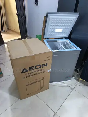 AEON 100L ACF100GK Freezer Domestic Food Preservation Equipment
