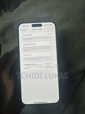Apple iPhone 15 Pro Max 256 GB Gray
