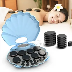 Brand New Shell Hot Stone Pot Analog