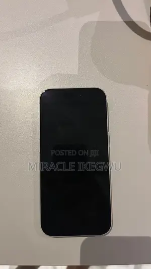 Apple iPhone 17 Pro 256 GB Gray