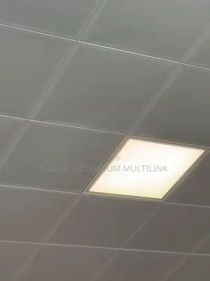 Metal Ceiling