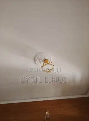 Lights for Sell