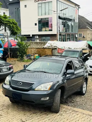 Lexus RX 330 2006 Gray