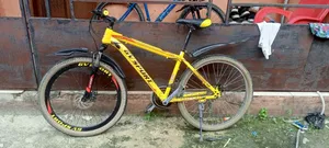 Mountain Bicycle