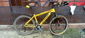 Mountain Bicycle