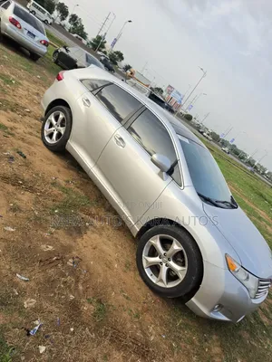 Toyota Venza 2010 Silver