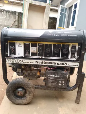 Firman, 6500 Surg Watts Generator