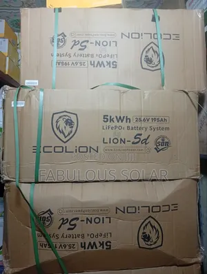5kwh 24v Ecolion Solar Lithium Battery