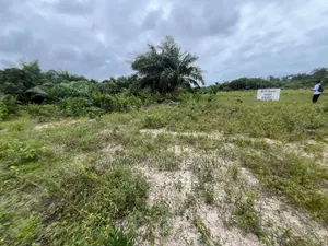 Verified Land for Sale in Ibeju Lekki With Good Documentation