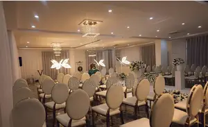 Professional Event Styling and Decoration(Birthday,Wedding,Conference)