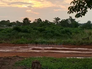 Half and Full Plots of Land