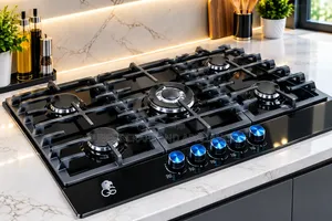 Black Stainless Steel 5 Burner