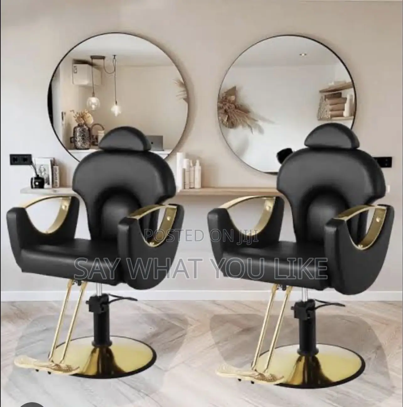 Salon Chairs