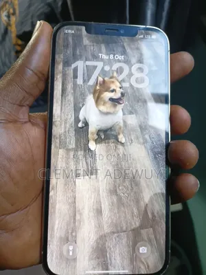 Apple iPhone 12 Pro Max 128 GB Silver