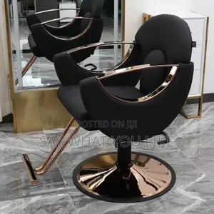 Salon Chairs