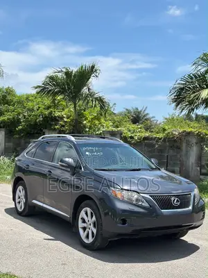Lexus RX 350 2010 Gray