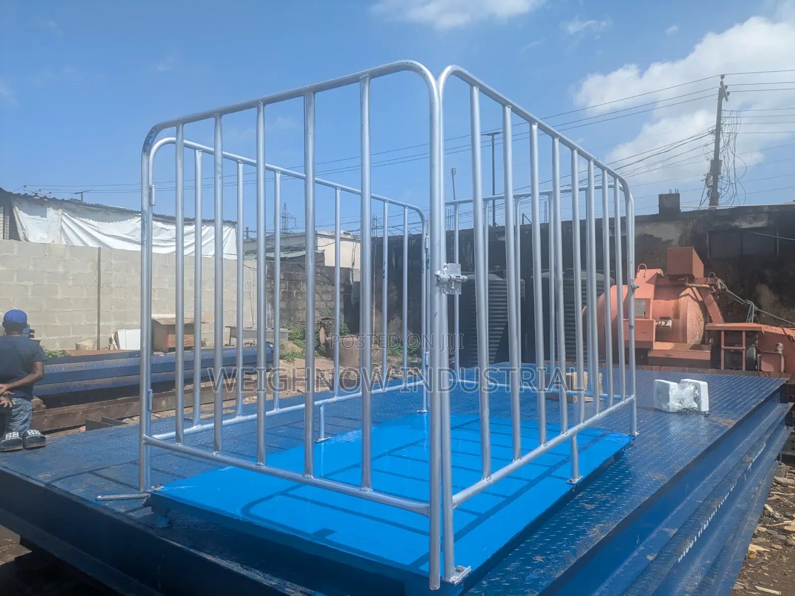 Weighnow Cattle Scale