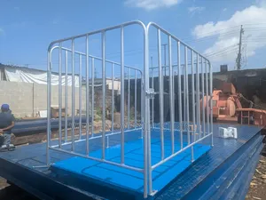 Weighnow Cattle Scale
