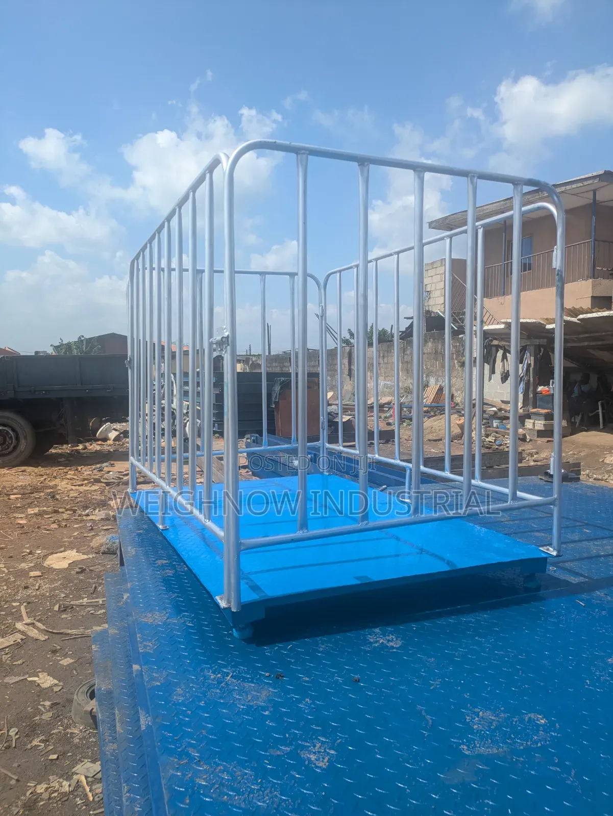 Weighnow Cattle Scale