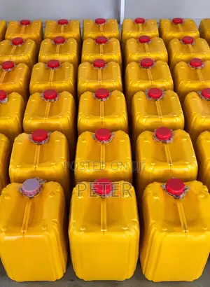 25ltrs of Palm Oil