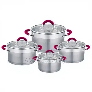 Stainless Pot