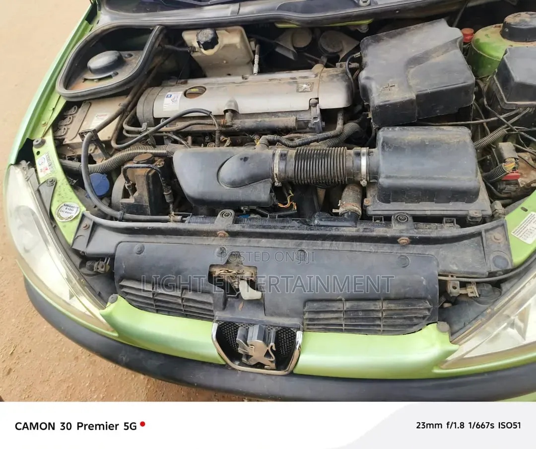 Peugeot 206 2010 Green