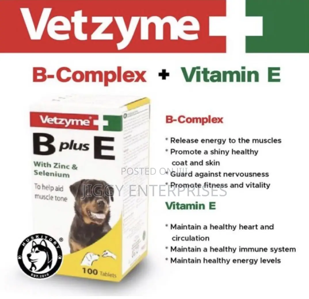 Vetzyme B Plus E Dog Supplement
