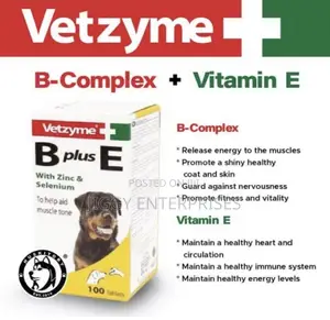 Vetzyme B Plus E Dog Supplement