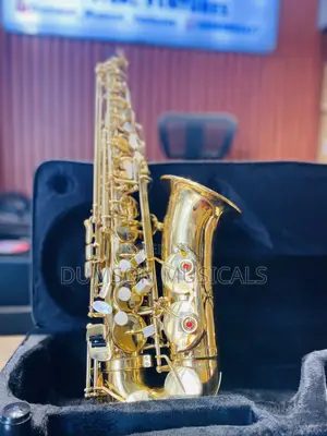 Intermediate Premier Sanjin Alto Saxophone