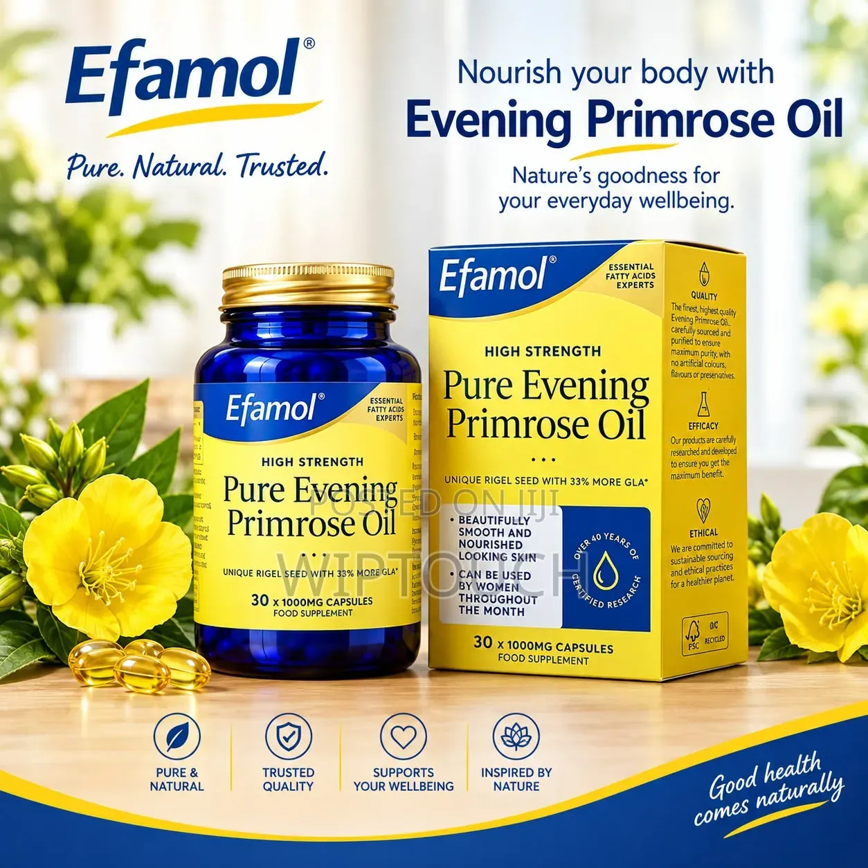 Efamol Evening Primerose Oil