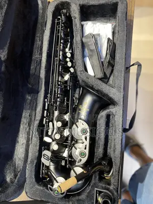Yamaha Custom Ex Yas-875 Alto Saxophone
