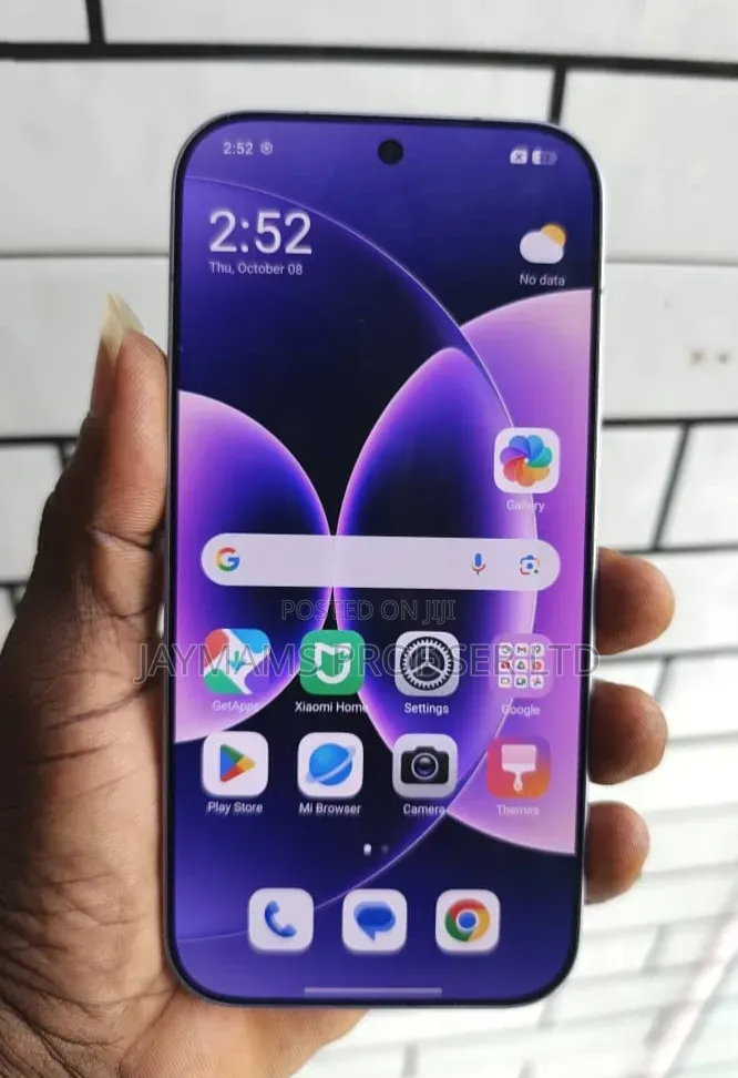 Xiaomi 17 Pro 512 GB Gray