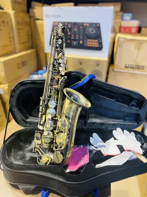 Henry Selmer Paris Bronze Alto Saxophone