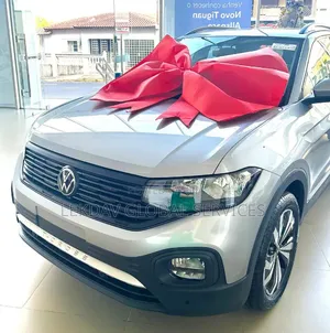 Elegant Special Car Ribbon a Special Gift