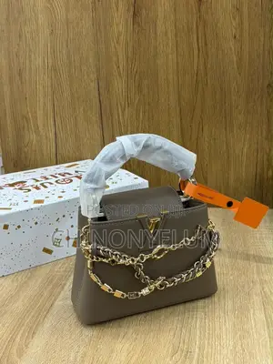 Luxury Women’s Handbag