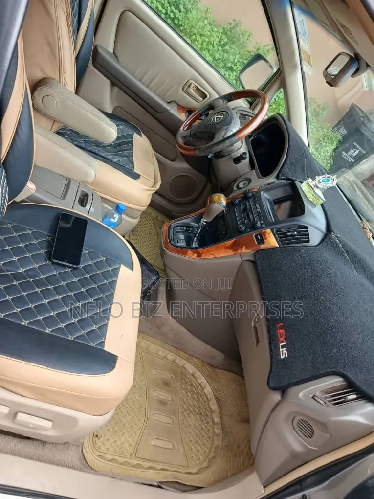 Lexus RX 2002 Gray