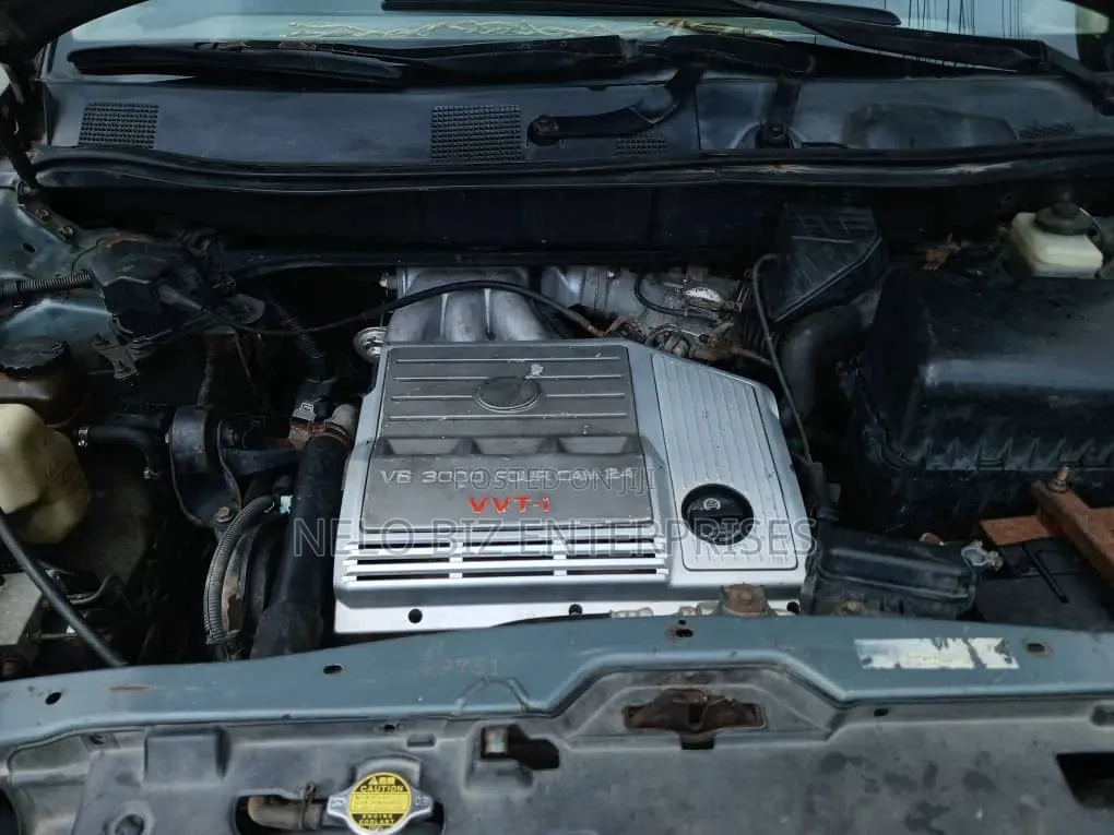 Lexus RX 2002 Gray