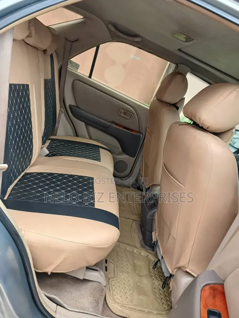 Lexus RX 2002 Gray